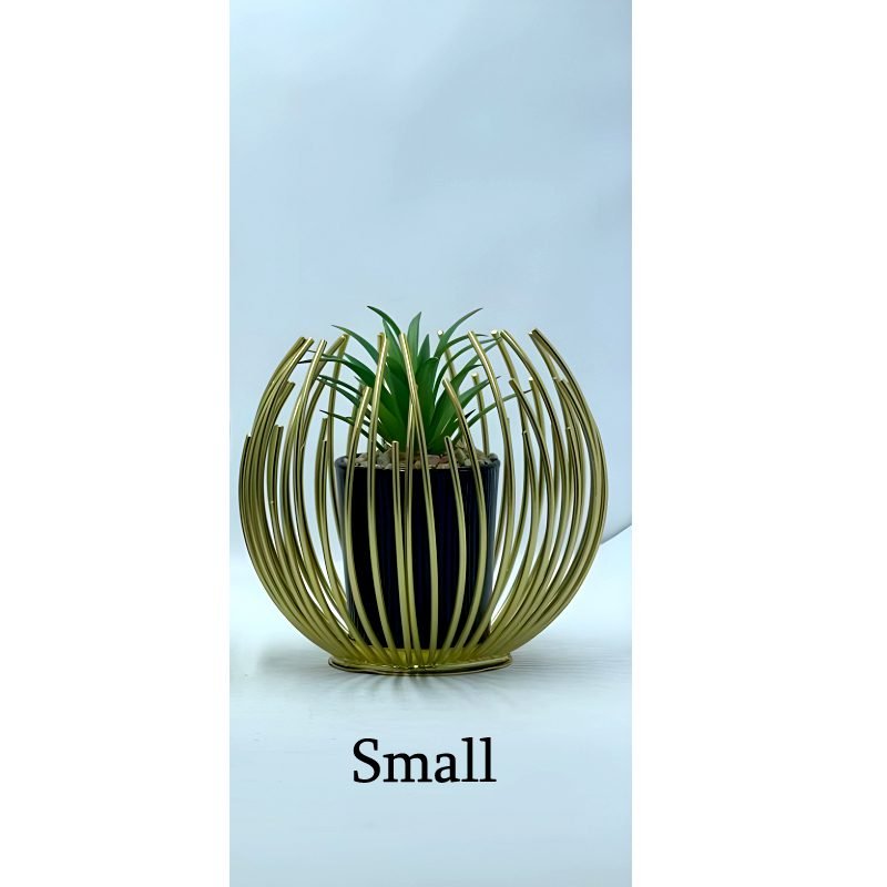 SMALL.jpg