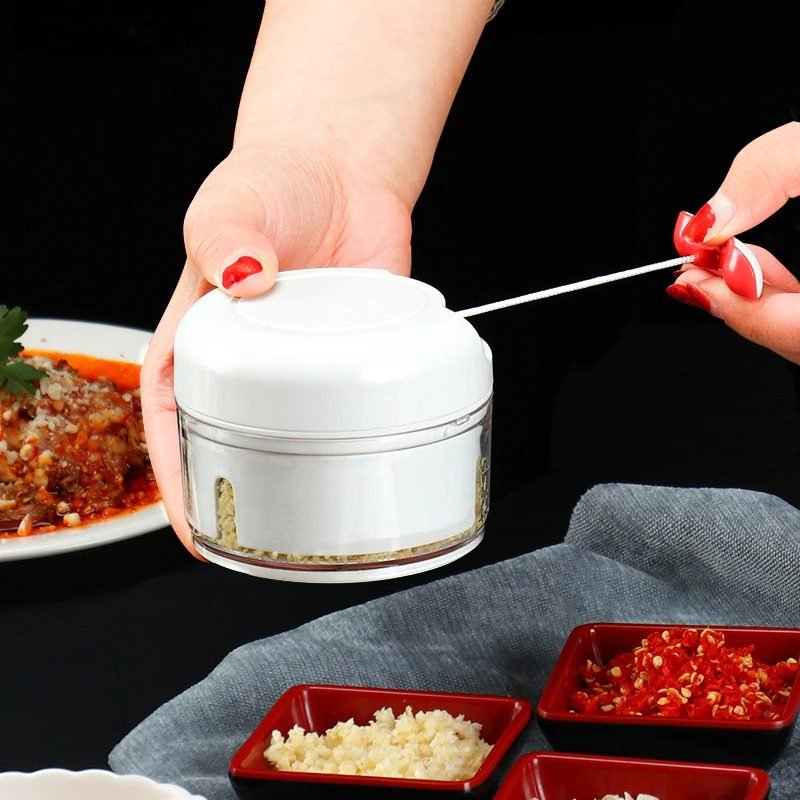mini-food-garlic-vegetable-grinder-chopp_main-1.jpg