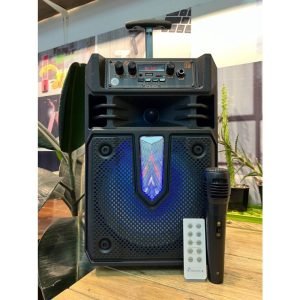KTS-1631 High Quality 8" Trolley Wireless Speaker With Microphone